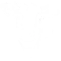 VACA (1)